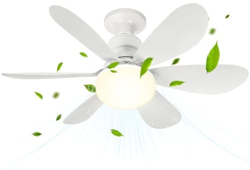 BuzzoXerex Ventilatore da Soffitto con Luce e Telecomando, 52 cm 40 W, Lampada Ventilatore LED E27 Dimmerabile, 3000-6500K 2000 LM, 3 Velocità, Plafoniera Silenziosa per Camera, Cucina, Bagno