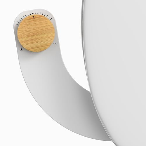 Pulvérisateur Bidet Gauche - WITHLENT Non électrique Bidet de Ultra-Mince Pour Toilette Avec Accessoire de Toilette Bidet à Double Buses - Nettoyage Avant et Arrière Douche po(bambou)
