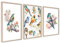 ag.art deco Poster 30x40 | Pastell Poster Set für Wand Deko Wohnzimmer oder Schlafzimmer | Kunstdruck mit Motiven von Vögel und Blumen | 3x Bilder ohne Rahmen