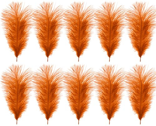 WedDecor Orange Natural Ostrich Feathers 14-16 Inch (35-40cm), Pack of 10