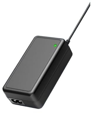 Caricabatterie da 16,8 V 3 A senza cavo di alimentazione CA 50,4 W(Eu)