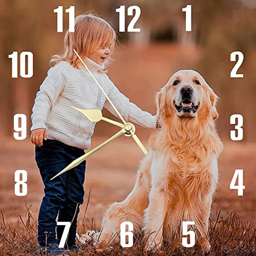 S&H&OU Benutzerdefinierte Wanduhr, Fotowanduhren für Wohnzimmerdekoration mit Foto, leise Wanduhr für Kinder, Personalisierte Fotowanduhr zum Aufhängen von Geburtstagsfotos(20cm)