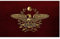 Naisicatar Bandiera Romano Decorativa, Bandiera SPQR Senatus Senato di Populusque Romanus Romanus Empire Banner Band