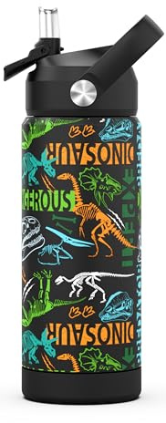 Boys Water Bottle with Straw,550 Ml Kids Insulated Cups with Stainless Steel Leak Proof for School,Sport&Travel (Dionsaur)