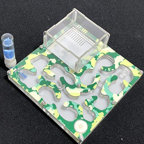 140 * 140mm großer Raum Camouflage-Ameisenfarm-Ameisenhügel Pädagogisches Formicarium mit Feuchtigkeits- und Wasserzufuhr für LIVE-Ameisen (Camouflage Summer)