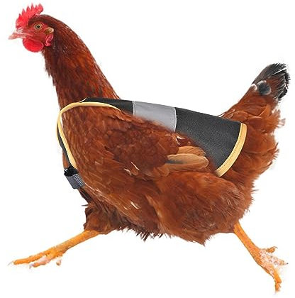 Qikam Warnweste Für Hühner, Huhn Weste Hühner Warnwesten Pet Reflective Vest Pet Warnweste Huhn Kleidung Geflügel Henne Sattel Schürze Federschutz Für Huhn Und Ente
