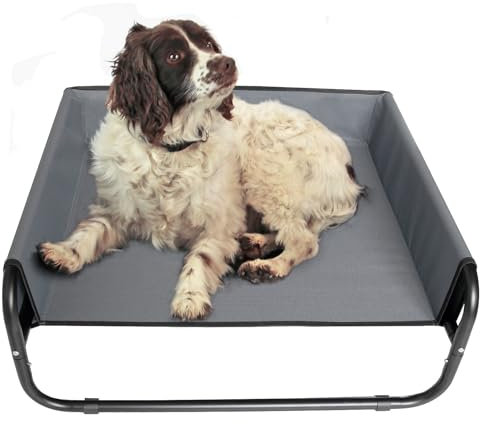 Easipet Elevated Pet Bed with Raised Sides, Medium, Grey, 70cm x 70cm x 28cm