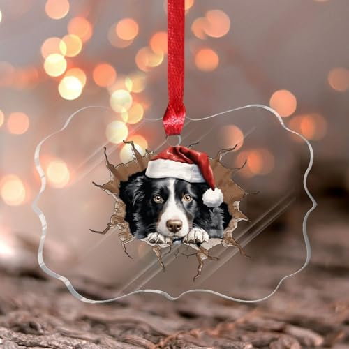 Weihnachtsschmuck 2024 Peeking Border Collie Acryl Xmas Ornament Abstrakte Haustier Welpen Malerei Weihnachtskugel Haustier Portrait Bulldogge Boxer Andenken Sammlerstück Geschenk Baumschmuck Strumpf