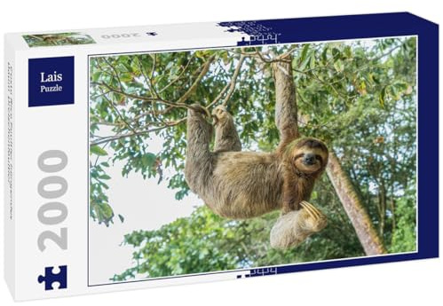 Lais Puzzle Costa Rica Faultier hängendes Baum-Dreizehenfaultier 2000 Teile