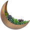 AERLO Maceta de Metal montada en la Pared, Maceta Colgante de Media Luna para suculentas, Plantas de Aire, Cactus, decoración Bohemia de Pared de Luna para Interiores y Exteriores, para Dormitorio