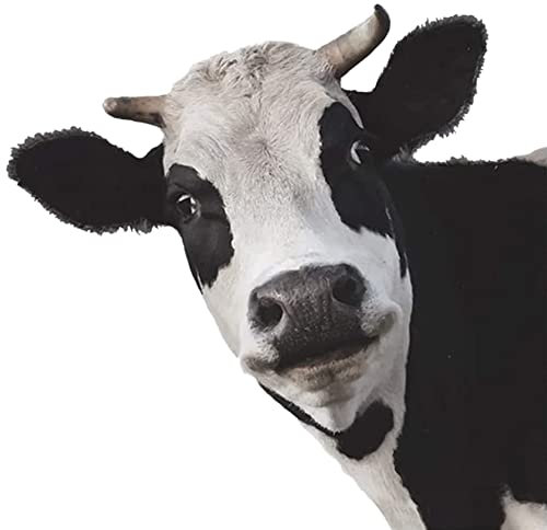 Surakey 4 Stück 3D Kuh Auto Aufkleber,Car Dekoration Tier Sticker Aufkleber,Stereo Lustige Kuh Riss Vinyl Aufkleber für Auto Wandaufkleber Personalisierte Dekoration Für Autofenster Stoßfänger