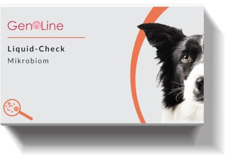 Mikrobiom Analyse Hund