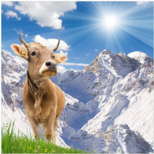 Wallario Glasbild Kuh im Sonnenschein in den Alpen - 55 x 55 cm Wandbilder Glas in Premium-Qualität: Brillante Farben, freischwebende Optik