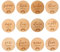 Toyvian 12st Wachstumskarten Aus Holz Schwangerschaft Reise Milestone Marker Neugeborenen Fotografie Prop Baby Milestone Discs Baby Ankündigung Karten Kleinkind Gedenkbuch Dekorationen