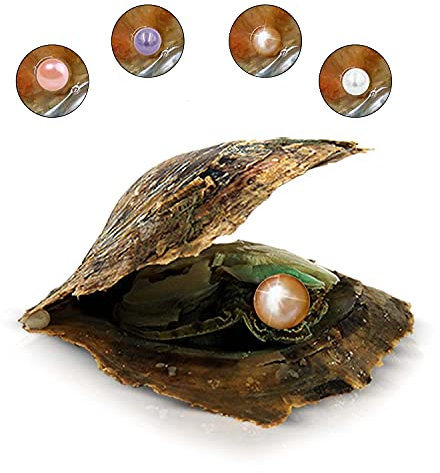 Wunschperlen echte Perle in Auster zum Öffnen, Perle in zufälliger natürlichen Farbe