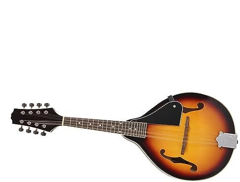 8-String Basswood Mandolin With Rosewood Finger Board Steel String Adjustable Bridge Mandolin Set for Beginner