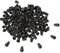 NUOBESTY 100St Kordelzugschnalle abziehbar rucksack zubehör verkleidungsaccessoires Reißverschlüsse Glocke Kordelstopper Lanyard-Clip endet Kordelschlösser aus Kunststoff Plastik Black