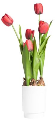 Decor Space Kunstpflanze Tulpe mit Topf, realistisch, mit 5 Blüten, 13 x 13 x 58 cm (rot)