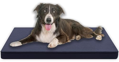 MyBestBuddy Hundekissen Premium orthopädisch mit 3 cm Vollschaum-Kern grau 90x70 cm XL, Hundematte mit Stoffbezug, 40°C waschbar, allergikerfreundlich - Hundebett für große Hunde, 90 x 70 cm