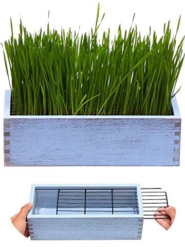 BENPIN Wooden Cat Grass Planter (no Seeds Included) with Anti Digging Design, and Removable Plastic Liner, Wheat Grass Growing Pot, Cat Grass for Indoor Cats Pets (Vintage Blue)