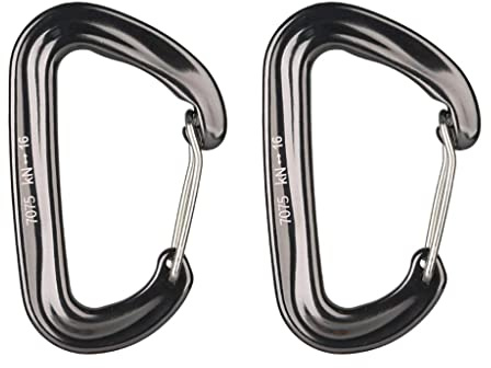2 Stück 16 KN Mini-Karabiner aus Aluminiumlegierung, D-Ring, Schlüsselanhänger, Clip-Haken, Grau, 4,98 x 8 cm