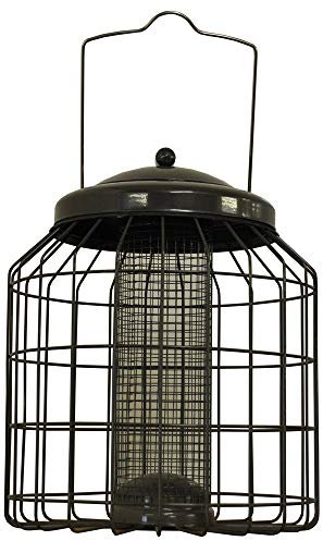 Deluxe Heavy Duty Squirrel Proof Hanging Wild Bird Peanut Feeder Cage