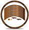 Finest Folia 16-teiliges Set Felgenrandaufkleber Sticker für Fahrrad Felgen Streifen Stripes Design Komplett Set für 27 29 für Ebike Rennrad Mountainbike MTB RX039 (Neon Orange Matt)