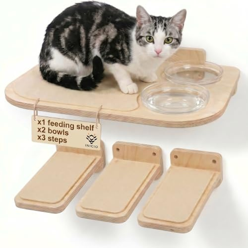 INICIO Mobili da parete per gatti, stazione di alimentazione: mensole e gradini da parete per gatti, ciotole in vetro, facili da installare, a prova di cane, moderno, in betulla, 3 livelli, 41 x 31 x