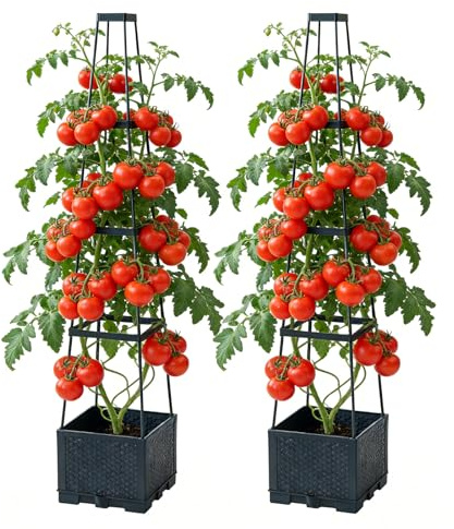 Tomatentopf mit Rankhilfe, 2 Pack Selbstbewässerung Tomatentopf mit Wasserspeicher, Höhenverstellbares Hochbeet mit Spalier für Kletterpflanzen Gemüs Blumen, und Balkone Terrassen Blumenbeete
