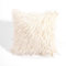 Egurs 2er Set Kunstfell Kissenbezug Langhaar Plüsch Kopfkissenbezug ZierKissenbezug Flauschig Felloptik Dekorative Kissenbezüge Kissen Couchkissen Künstlich Pelz Throw Kissenhülle Beige