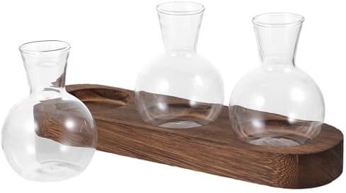 DIYEAH Set de Vases Verre Transparent avec Socle Bois Conteneurs Hydroponiques pour Plantes Vertes Décoration de Bureau et Salon Vase à Fleurs Compact et Stable
