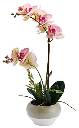 Scott Living Künstliche Orchidee im Topf, 51 cm, Pink