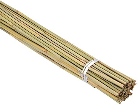 2FT-3FT-4FT-5FT-6FT Bamboo Garden Canes/Stake/Pole Garden Plant Flower Support Sticks Outdoor/Indoor Natural Strong Plants Support (15, 3ft -90cm (10-12mm))
