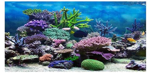 Tiiyee 3D Aquarium Background Sticker, Tropical Coral Reef Underwater Scene Self Adhesive PVC Fish Tank Wall Decoration 61x30cm for Saltwater and Freshwater Tanks