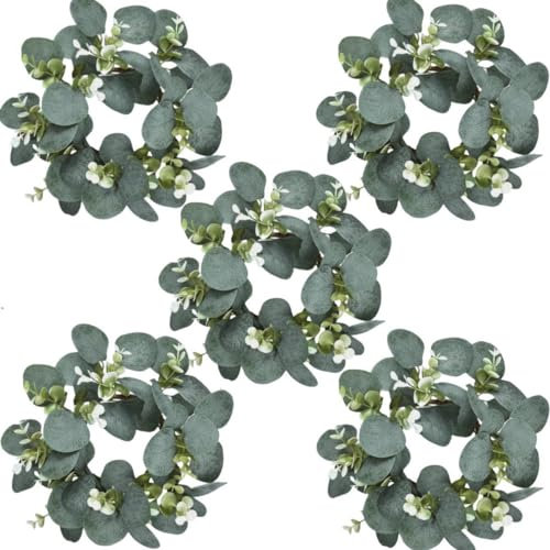 Avoik Eukalyptus Kranz für die Haustür, 25 cm Künstlicher Eukalyptus Kranz Frühling Grün Türkranz Sommer Hängen Kranz für Hochzeit Heimdekoration Haustür Tischkranz Wandkranz Dekoration, 5pcs