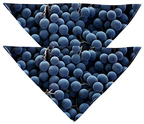 2 Stück Hundehalstuch, Obst, Weinrebe, Mädchen, Jungen, Haustier-Lätzchen, Hundeschal, Halstuch, waschbar, Zubehör für kleine, mittelgroße und große Hunde, Welpen, Katzen, Haustier