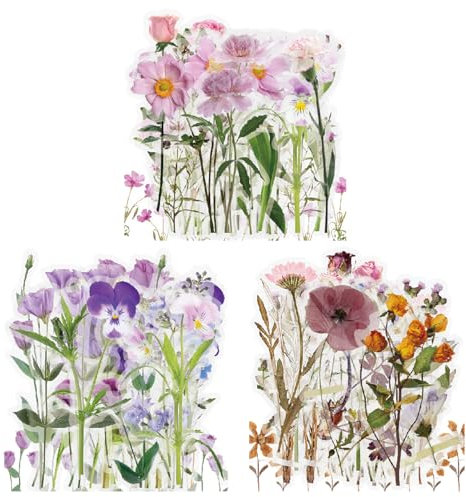 VSCO 120 Stück Transparente PET Aufkleber, Scrapbooking Sticker Blumen Pflanze Naturthemen PET Vintage Stickers für Laptop Tassen Gepäck Fotoalbum Notizbuch Tagebuch Grußkarte Umschlag (Stil B)