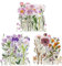 VSCO 120 Stück Transparente PET Aufkleber, Scrapbooking Sticker Blumen Pflanze Naturthemen PET Vintage Stickers für Laptop Tassen Gepäck Fotoalbum Notizbuch Tagebuch Grußkarte Umschlag (Stil B)