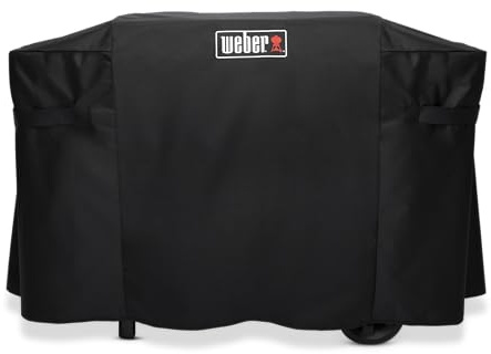 Weber Plancha Pieza de Mantenimiento
