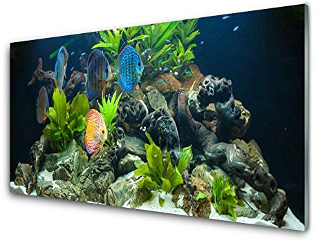 Tulup Glasbilder 100x50cm - Wandbild Druck auf Glas XXL Panorama-Bild Wandbilder aus Echt-Glas Sicherheitsglas Kunstdruck für Küche Wohnzimmer Fische Steine Blätter Natur