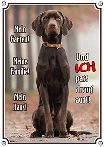 hochwertiges Warnschild - brauner Labrador Retriever - Metallschild in Premiumqualität, DIN A4