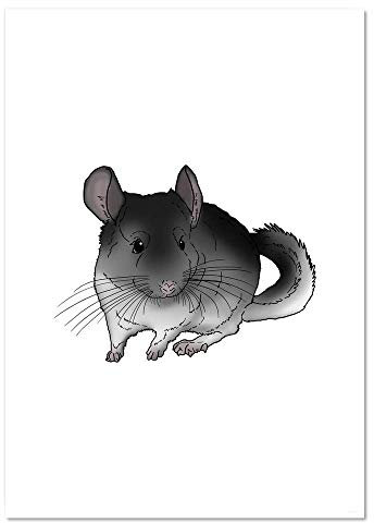 Azeeda A3 'Chinchilla' Poster/Kunstdruck (PP00150451)