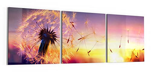 DEQORI Glasbilder Echtglas | Motiv Pusteblume im Abendlicht | horizontal 3-teilig 150x50 cm | große XXL Deko | Wandbilder für Wohnzimmer, Schlafzimmer, Flur & Küche | moderne Wanddeko