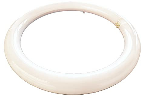 Shop SoftAir® Circuline LED Consumo 19W Coincidencia 120W Diámetro 30cm 1950LM lúmenes Luz Blanco Natural 4000K Cálido 3000K Fría Casquillo G10Q T9 (Luz Fría 6500k)