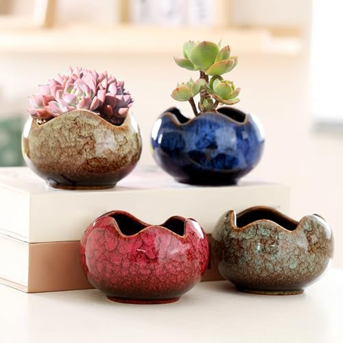 kiss me Succulent Pots with Drainage Set of 4, Unique Ceramic Small Plant Pots Cactus Flower Pots Unique Design Mini Cacti Planter Home Office Windowsill Decor (Wavy)