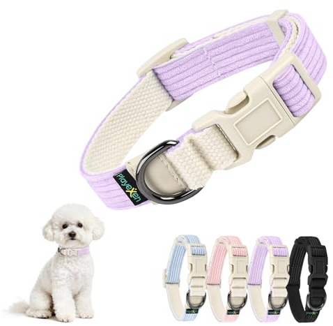 Collar Perro Pequeño Collares para Perros Ajustables (25-40cm)de Pana-Algodón Suave Dog Collar con Hebilla de Liberación Rápida para Gato Cachorros Perros Pequeños Medianos para Adiestramiento(Morado)