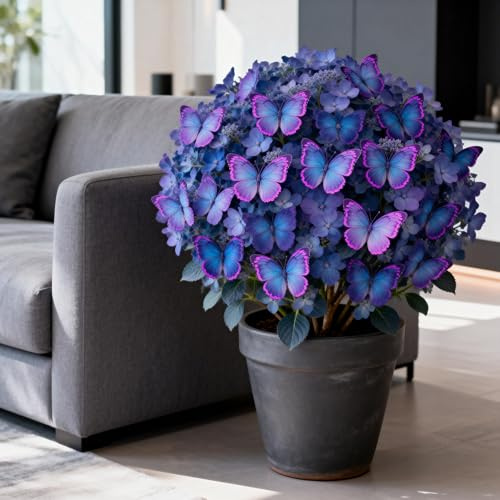 Hosta&flor de mariposa&Los Hosta se utilizan para el cultivo y crecen rápidamente.perenne,de rápido crecimiento/decoración interior y exterior-4tubérculos-H