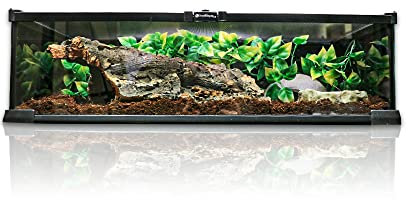 Swell Reptiles Glass Terrainium Kit 50cm x 30cm x 15cm. Ideal for Reptiles.