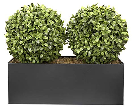 GreenBrokers Jardinière en étain Noir avec Boules de buis Doubles de 35 cm