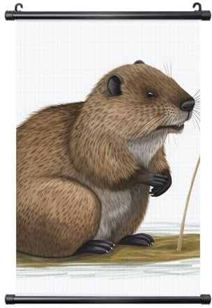 YKLJG Biber-Cartoon-gedrucktes Poster zum Aufhängen, 40 x 60 cm, Wandkunst-Banner, PVC-Rahmen, Kunstwerk, Wandbehang für Wohnzimmer, Büro, Schlafzimmer, Dekor